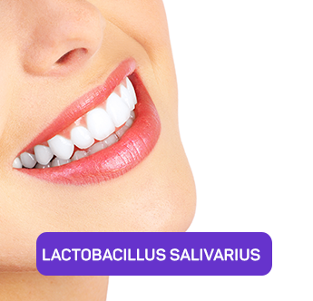 LACTOBACILLUS SALIVARIUS 